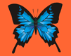 gameznet-animated-butterflies-071.gif