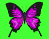 gameznet-animated-butterflies-072.gif