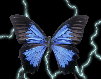 gameznet-animated-butterflies-079.gif