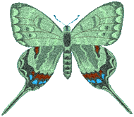 gameznet-animated-butterfly-014.gif