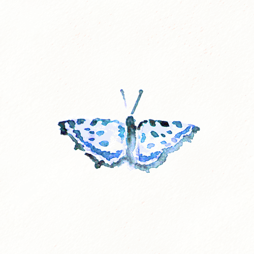 gameznet-animated-butterfly-026.gif