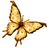 gameznet-animated-butterfly-027.gif