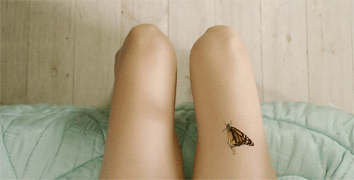 gameznet-animated-butterfly-050.gif