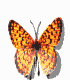 gameznet-animated-butterfly-058.gif