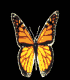 gameznet-animated-butterfly-061.gif