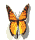 gameznet-animated-butterfly-063.gif