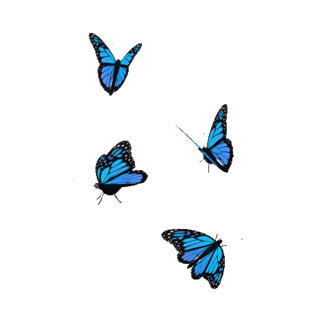 Butterfly Animated Gifs Gameznet Royalty Free Stock Media