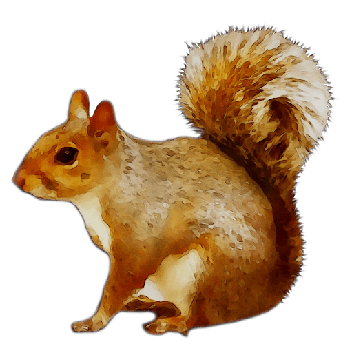 Chipmunk Transparent Background Gameznet Royalty Free Stock Media