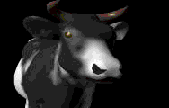 gameznet-animated-cow-022.gif