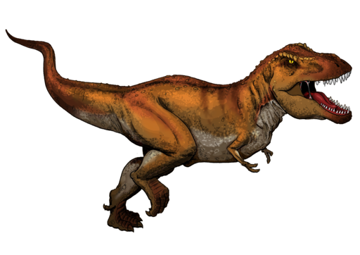 512px-tyrannosaurus_rex_colored.png