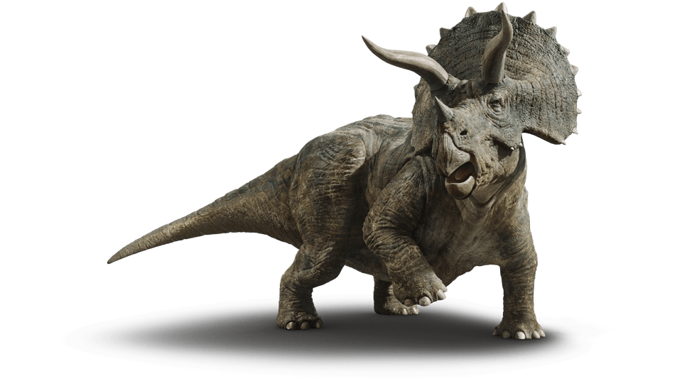960x540_0000_triceratops.png