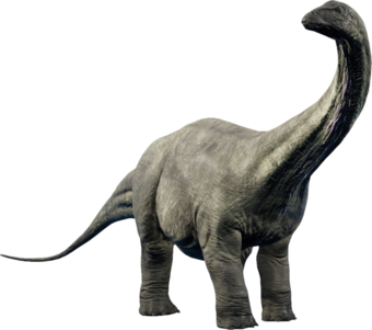 Apatosaurus-dinosaur-transparent-background-gameznet-02.png
