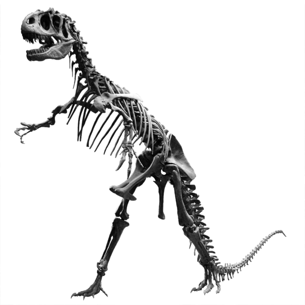 allosaurus-dinosaur-transparent-background-gameznet-01.png