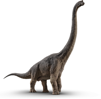 brachiosaurus-dinosaur-transparent-background-gameznet-01.png
