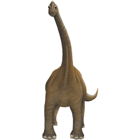 brachiosaurus-dinosaur-transparent-background-gameznet-02.png