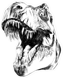 dinosaur-head-sketch-sticker-1539102245.2766247.png