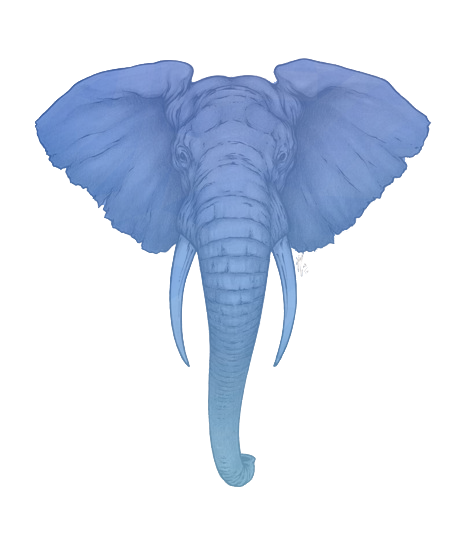 elephant-transparent-background-gameznet-16.png