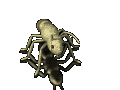 gameznet-animated-insect-018.gif