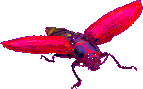 gameznet-animated-insect-051.gif