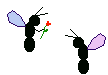 gameznet-animated-insect-052.gif