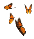 gameznet-animated-insect-063.gif