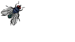 gameznet-animated-insect-084.gif