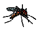 gameznet-animated-insect-093.gif