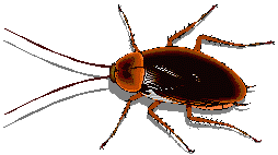 gameznet-animated-insect-099.gif