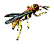 gameznet-animated-insect-110.gif