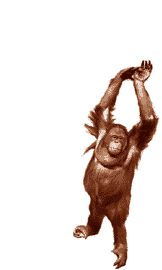 gameznet-animated-primate-monkey-ape-gorilla-019.gif