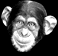 gameznet-animated-primate-monkey-ape-gorilla-030.gif