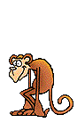 gameznet-animated-primate-monkey-ape-gorilla-035.gif