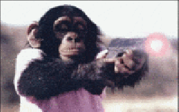 gameznet-animated-primate-monkey-ape-gorilla-048.gif