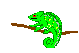 gameznet-animated-reptile-snake-turtle-lizzard-007.gif