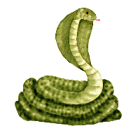 gameznet-animated-reptile-snake-turtle-lizzard-015.gif