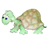 gameznet-animated-reptile-snake-turtle-lizzard-025.gif