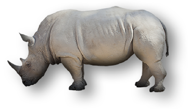 rhino-transparent-bg-gameznet-00003.png