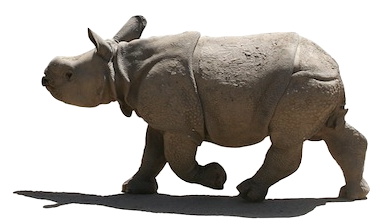 rhino-transparent-bg-gameznet-00025.png