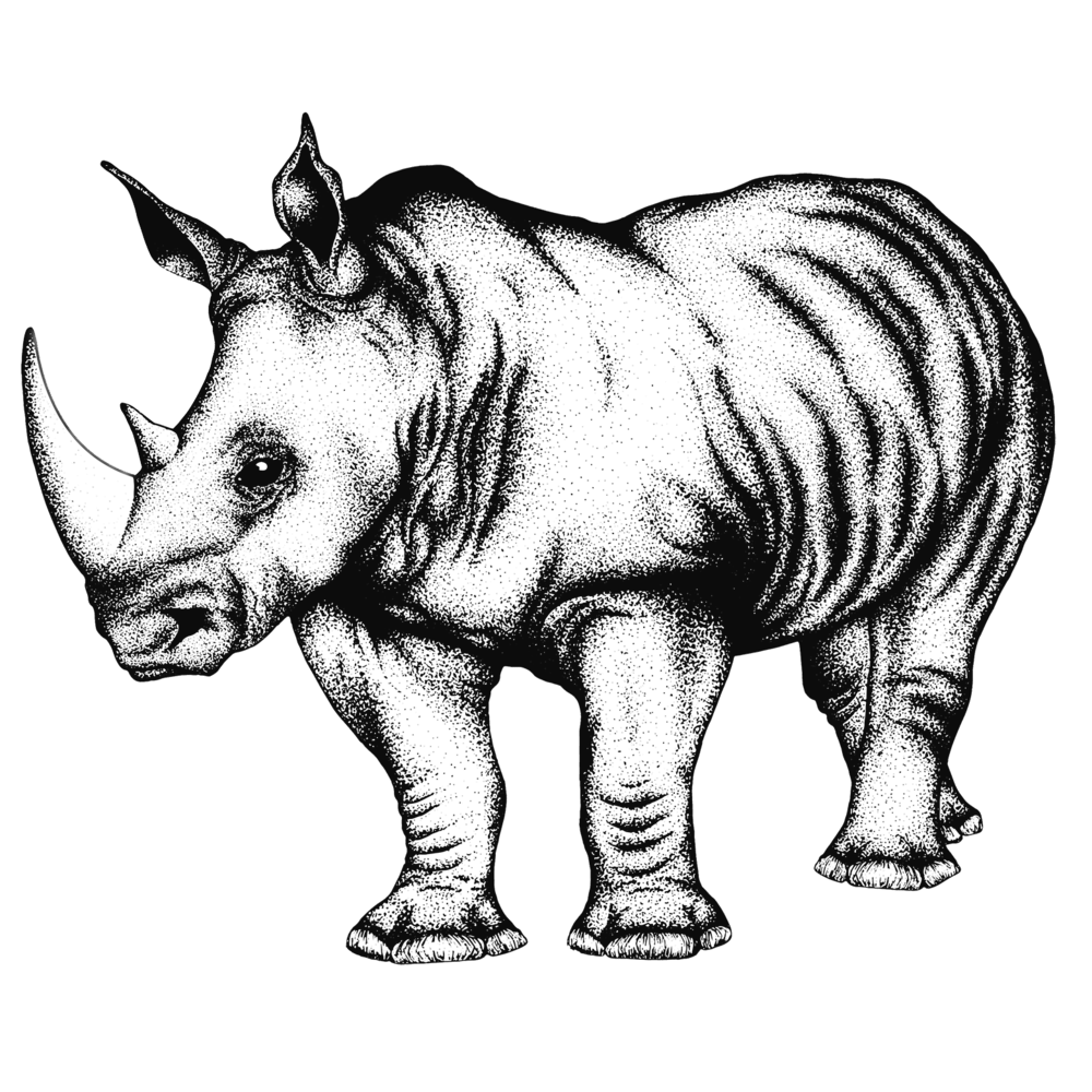 rhino-transparent-bg-gameznet-00030.png
