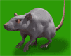 gameznet-animated-mice-002.gif