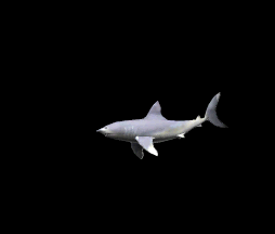 gameznet-animated-sharks-013.gif