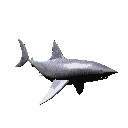gameznet-animated-sharks-038.gif