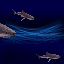 gameznet-animated-sharks-046.gif