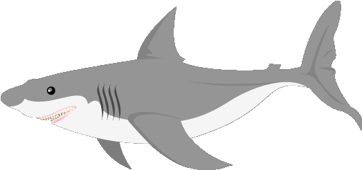 234-2344612_image-result-for-animated-gray-fish-gif-clipart-shark-transparent-background-gif.png