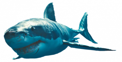 shark-transparent-bg-gameznet-00038.png