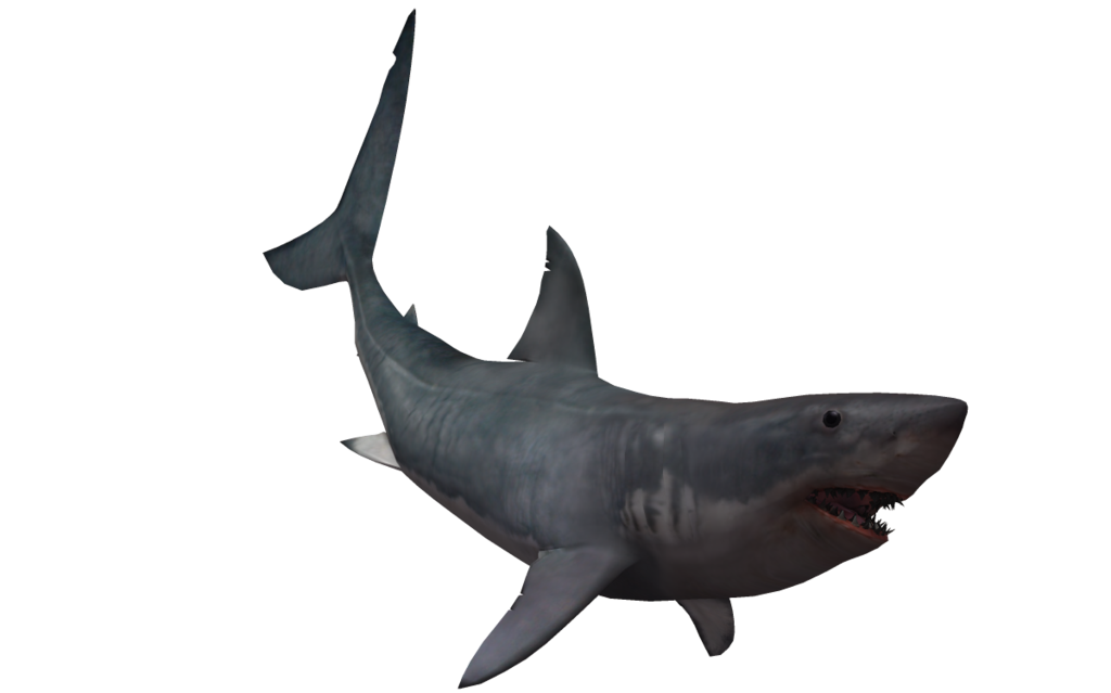 shark-transparent-bg-gameznet-00043.png