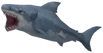 shark-transparent-bg-gameznet-00044.png