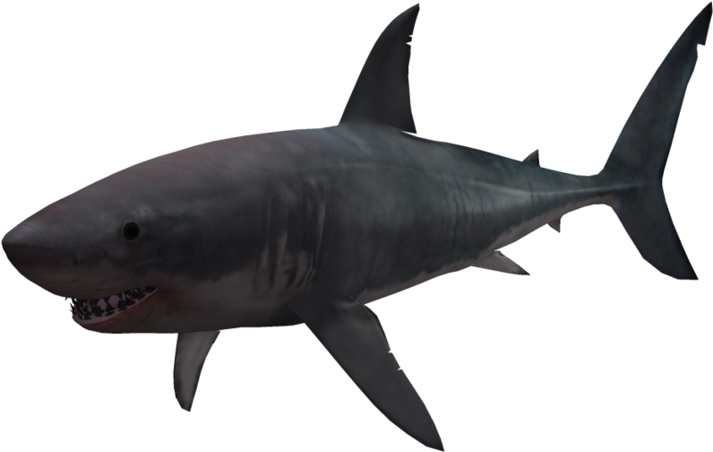 shark-transparent-bg-gameznet-00048.png