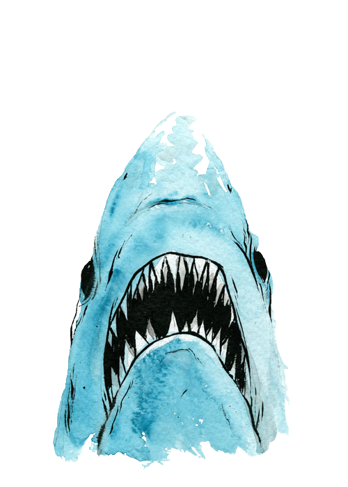 shark-transparent-bg-gameznet-00050.png