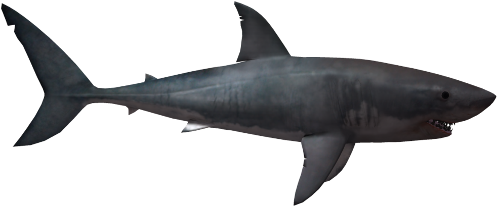shark-transparent-bg-gameznet-00056.png